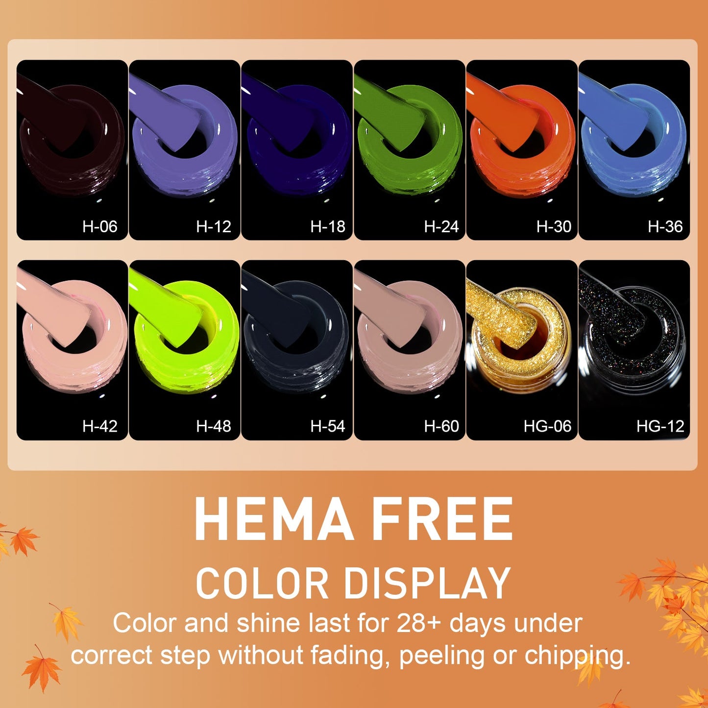 HT-06 Coffret 12 vsp Free Hema